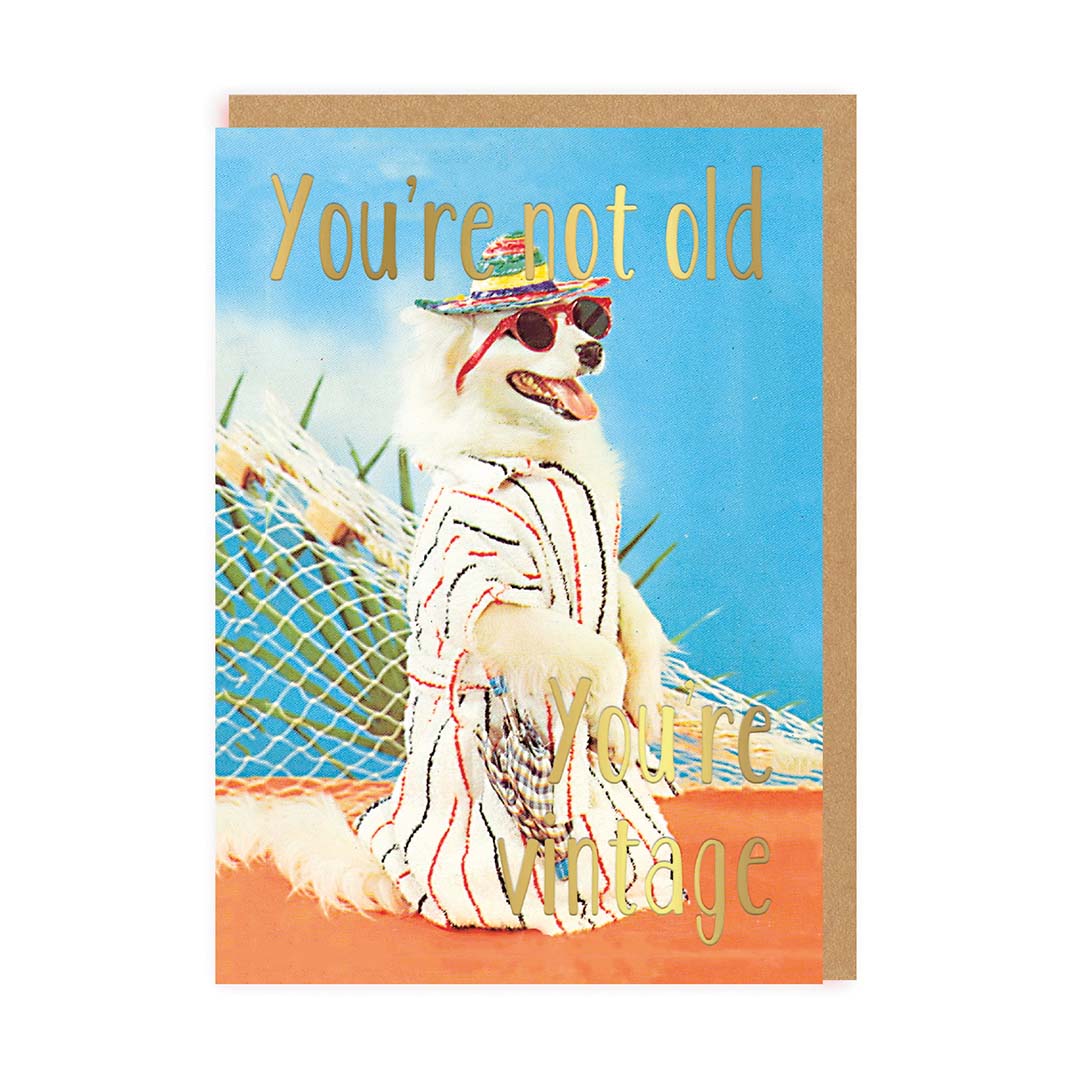 You’re Not Old, You’re Vintage Greeting Card
