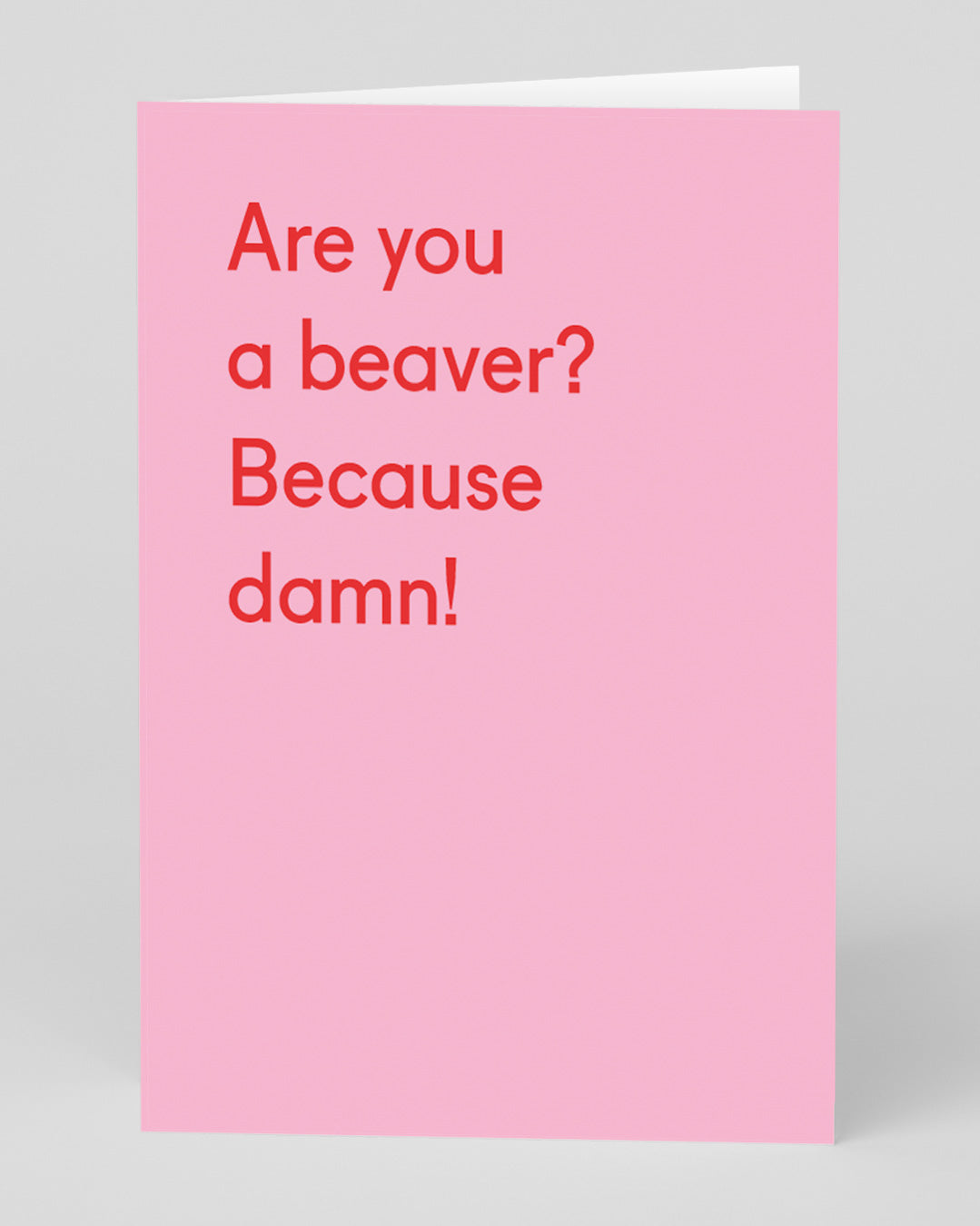 Valentine’s Day | Funny Rude Valentines Card For Him or Her | Personalised Are You a Beaver Greeting Card | Ohh Deer Unique Valentine’s Card | Made In The UK, Eco-Friendly Materials, Plastic Free Packaging