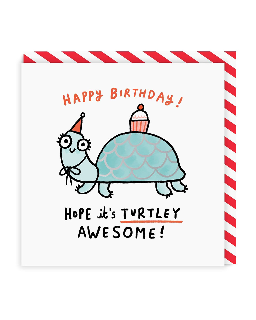 Funny Birthday Card Turtley Awesome Birthday Card