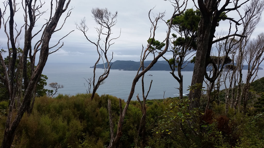 Northwest Circuit, Stewart Island