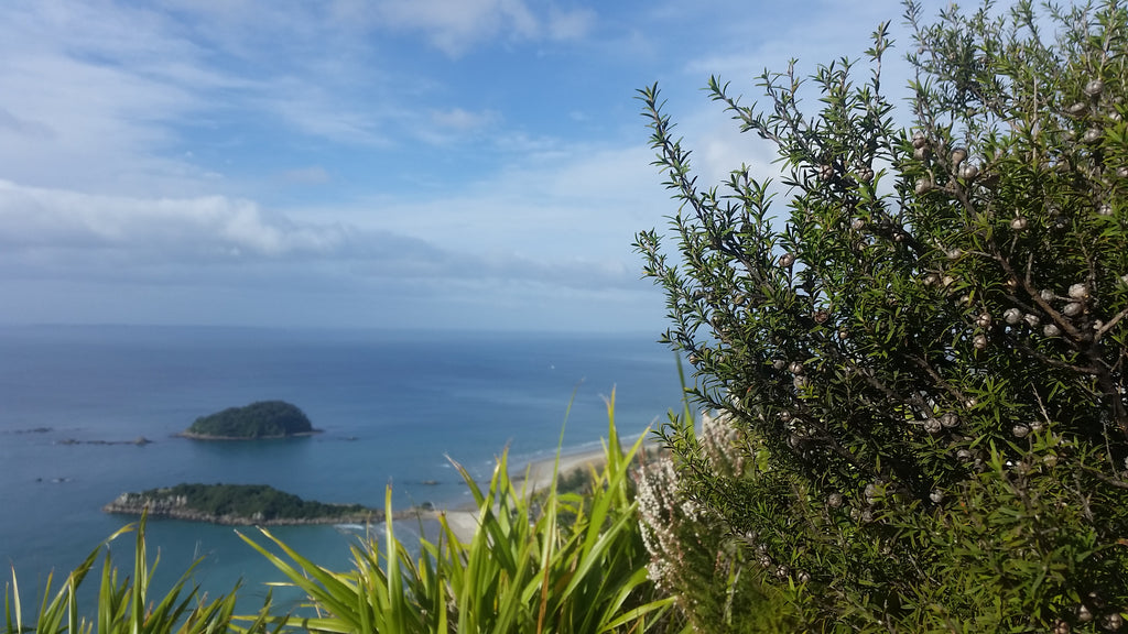 Mount Maunganui