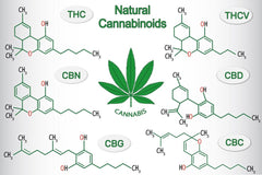 What is CBG | CBD Benefits | Benefits of CBG | CBD And Essential Oils | Cannabinoids | CBD Stick