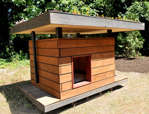 Pet Houses & Shelters