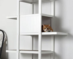 Zoovilla Bookshelf Cat Tree