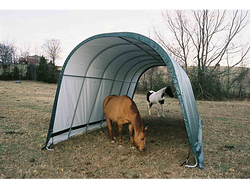 ShelterLogic 13 x 20 ft. Round Style Run-In Shelter, Green Cover