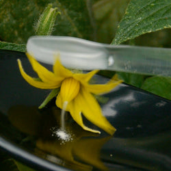 RIVERSTONE VEGIBEE GARDEN POLLINATORS