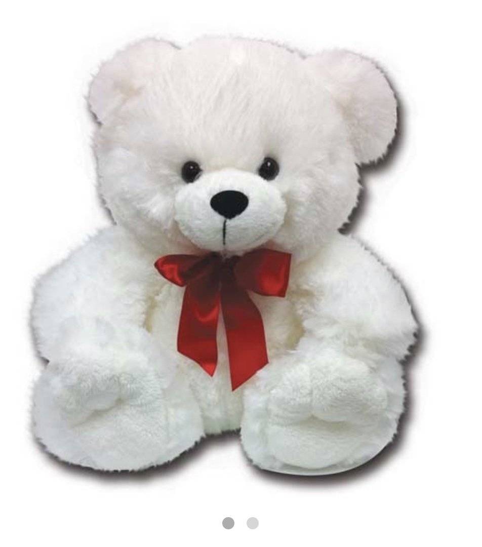 white teddy bear buy online