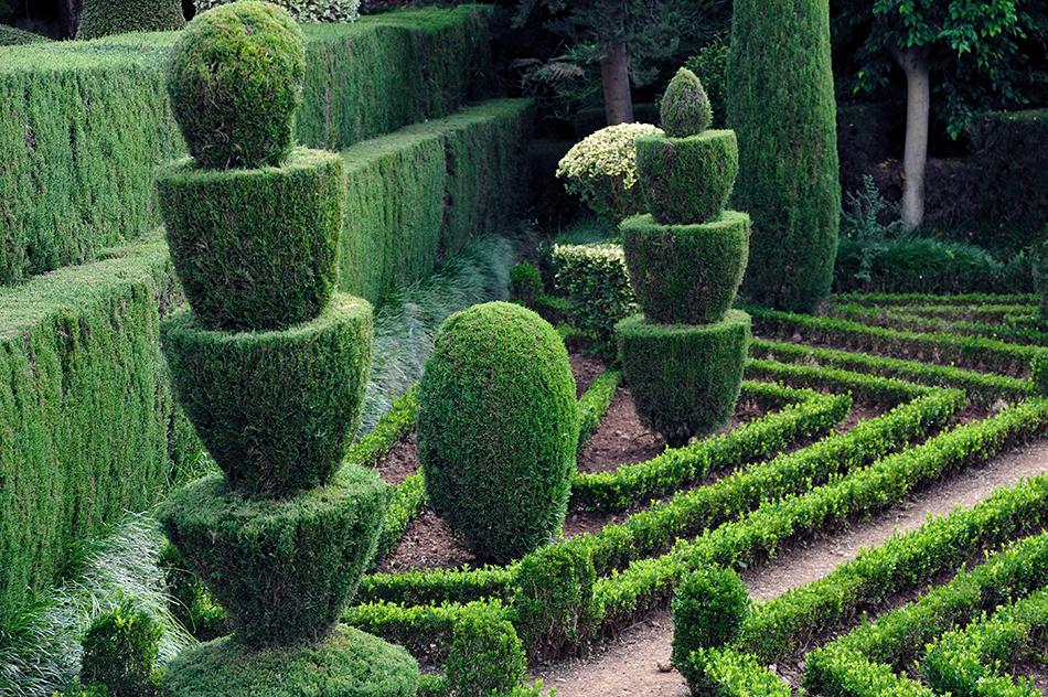 Michael Van Clarke - Topiary