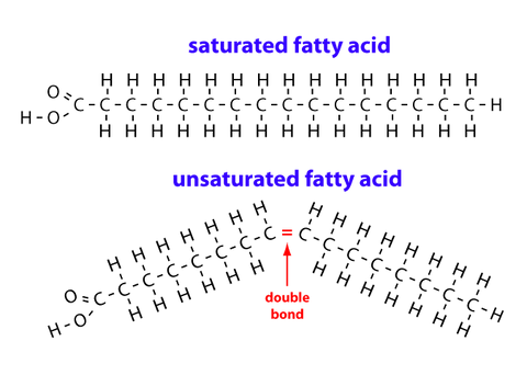 Unsaturated Vs. Saturated Fatty Acids