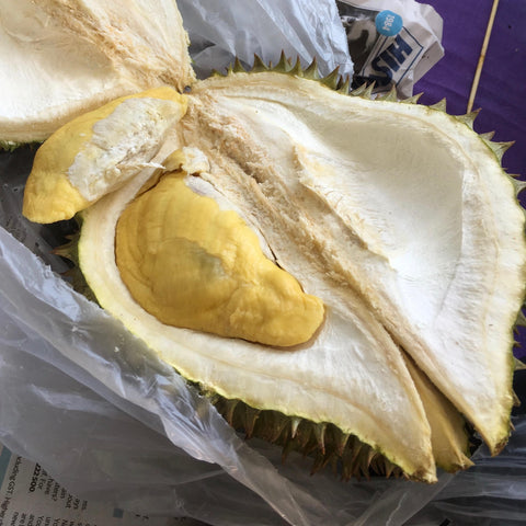 Australian HEW1 Durian