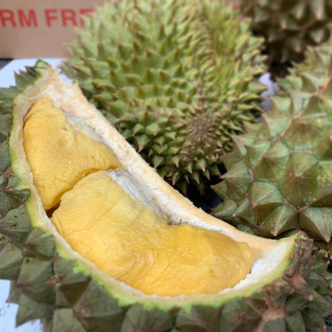 Tropical Primary Products' HEW1 durian