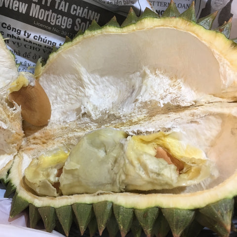 Mix variety Darwin Durian
