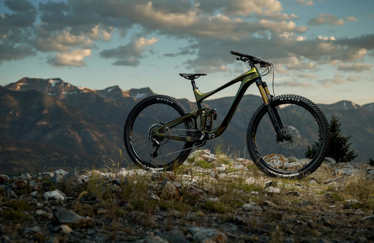 giant enduro bike 2020