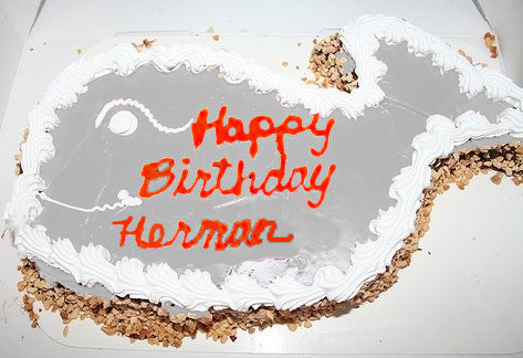 happy birthday herman melville