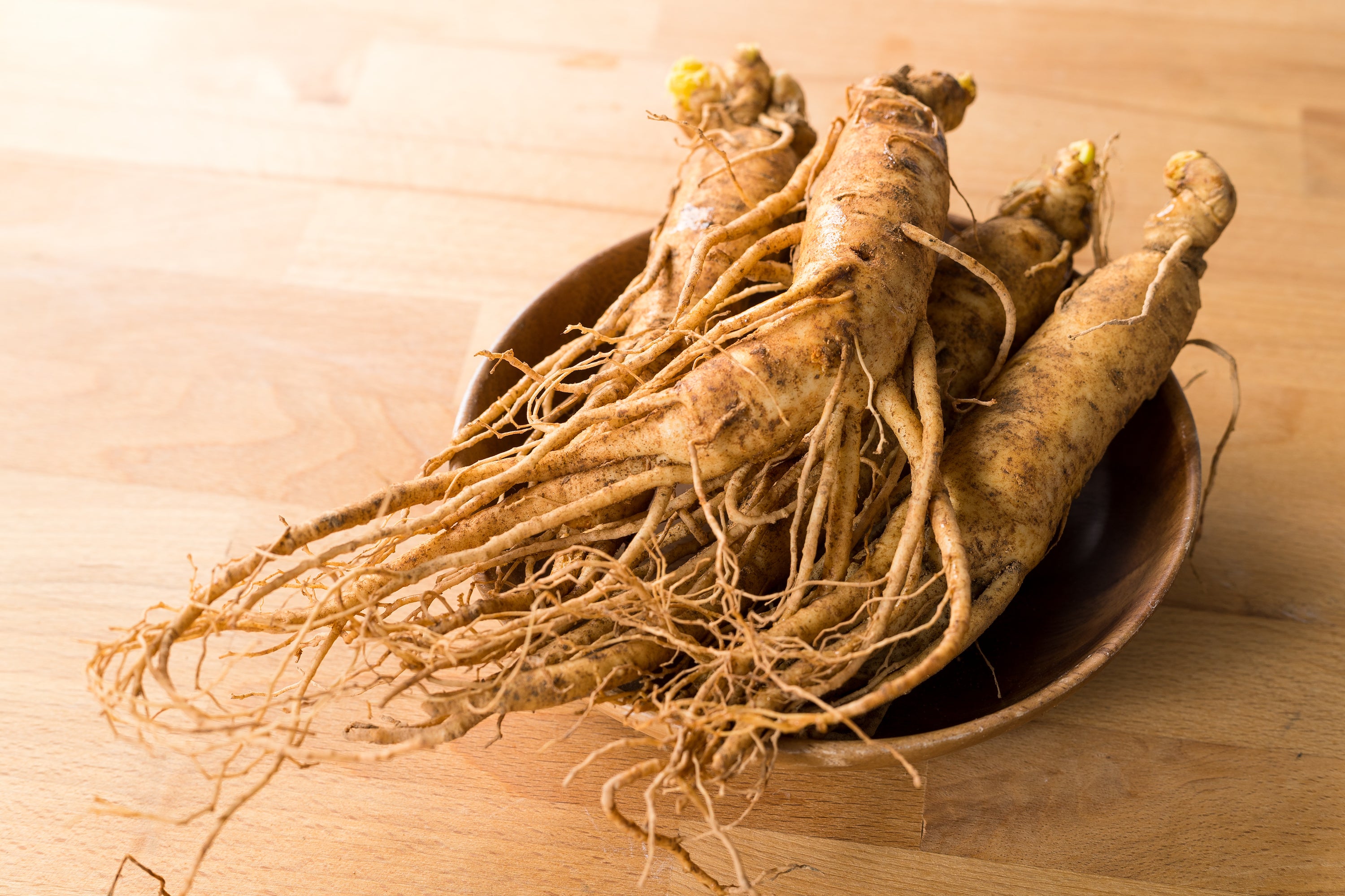 Asian ginseng root in bowl on table