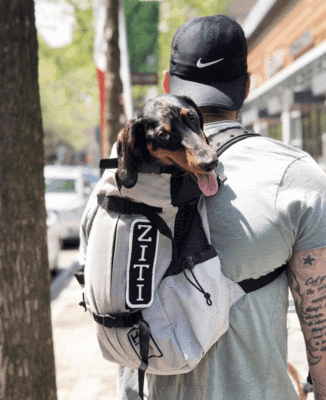 dog rucksack k9