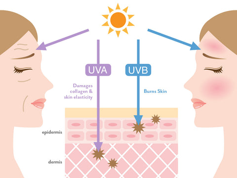 Sun UV effect on melanin and skin tone and pigmentations