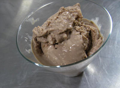 Trutein Chocolate Coconut Ice Cream