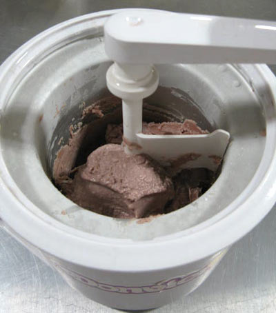 Trutein Chocolate Coconut Ice Cream