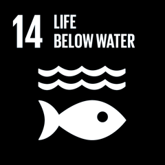 Our Sustainability goals in line with the un sustainable development goals
