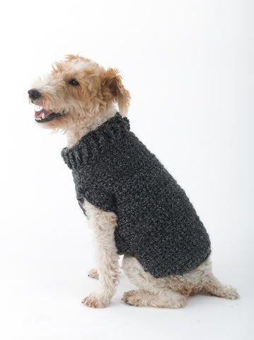 Small mix dog wearing gray sweater with collar.
