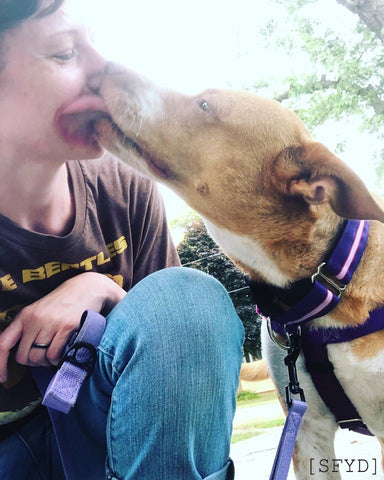 Author getting doggie kisses on the cheek by ginger and white Heeler Mix, after a successful walk.