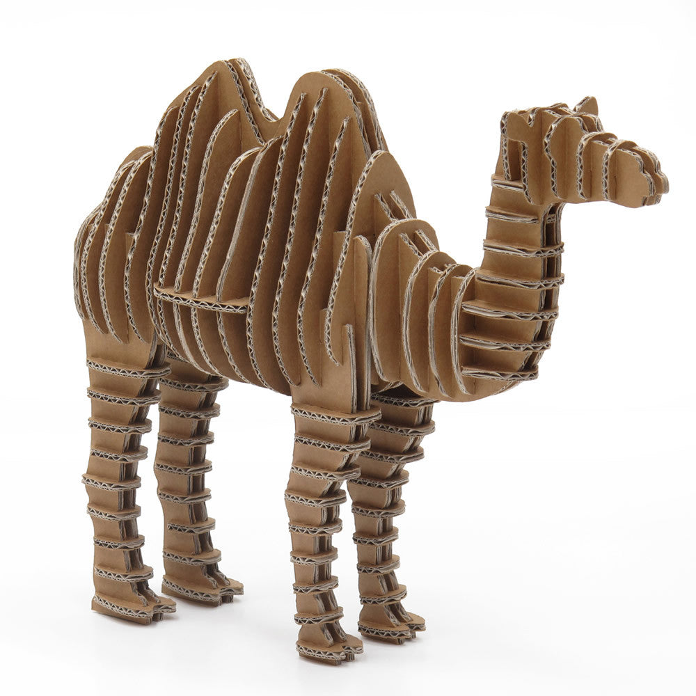 Eco Camel