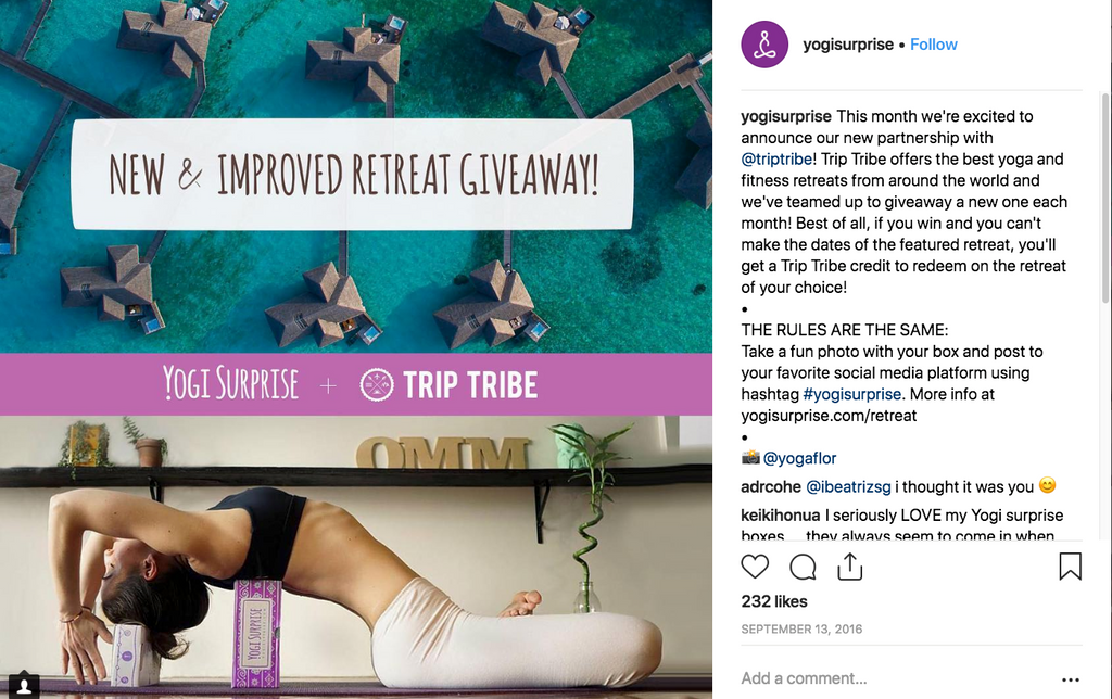 Yogi Surprise Instagram photo contest 