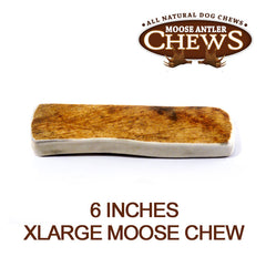 Chew Moose