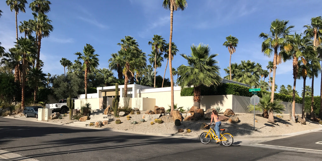 Biking through residential neighbourhoods in Palm Springs, California