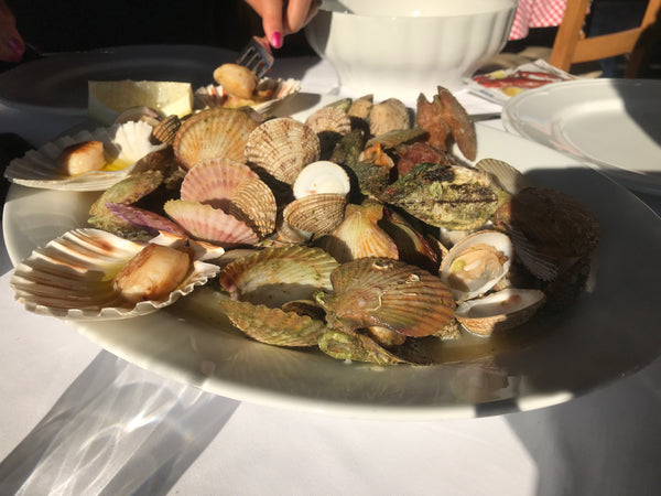 Scallops and clams at Batelina Restaurant in Pula, Croatia