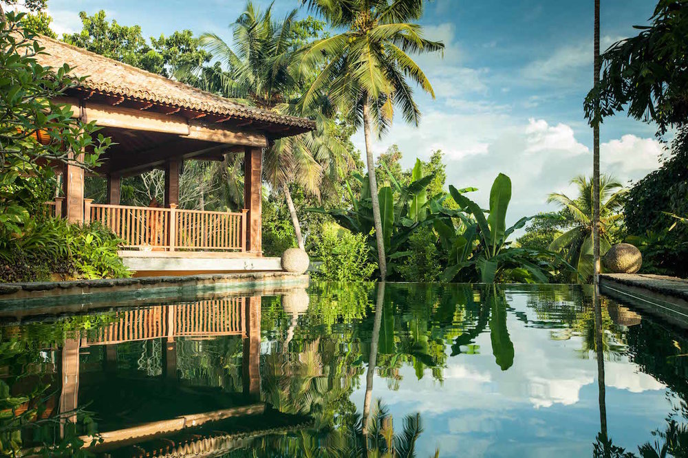 Sri Yoga Shala - Sri Lanka Yoga - Wijaya Beach - Jungle Yoga Studio