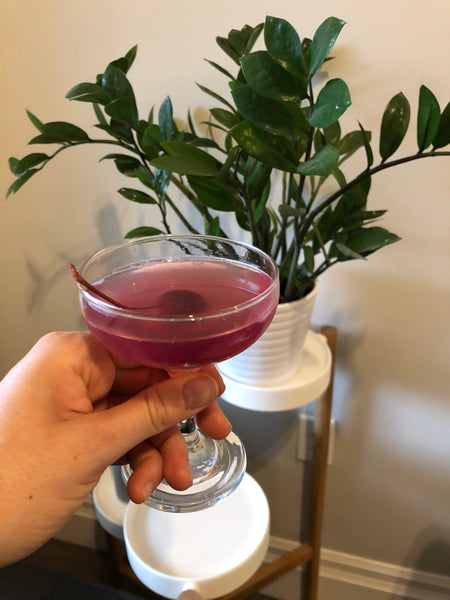 Staycation Cocktail