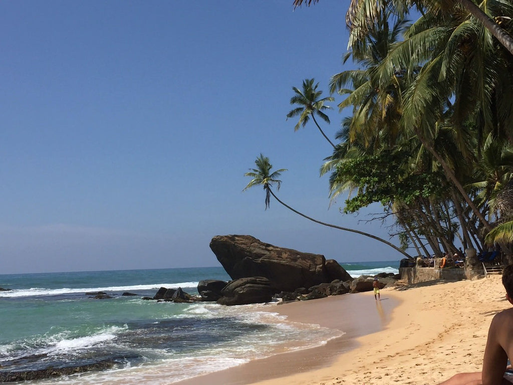 Wijaya Beach - Sri Lanka - Palm Trees on Beach