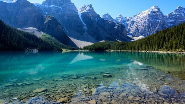 Banff Canada - Moraine Lake - Lake and Forest