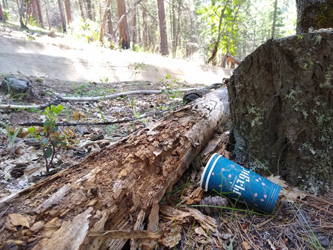 cups laying on ground next to mountain bike trail