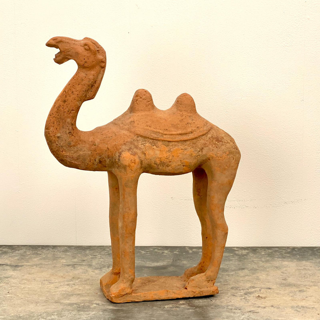 Tang Dynasty Camel, China