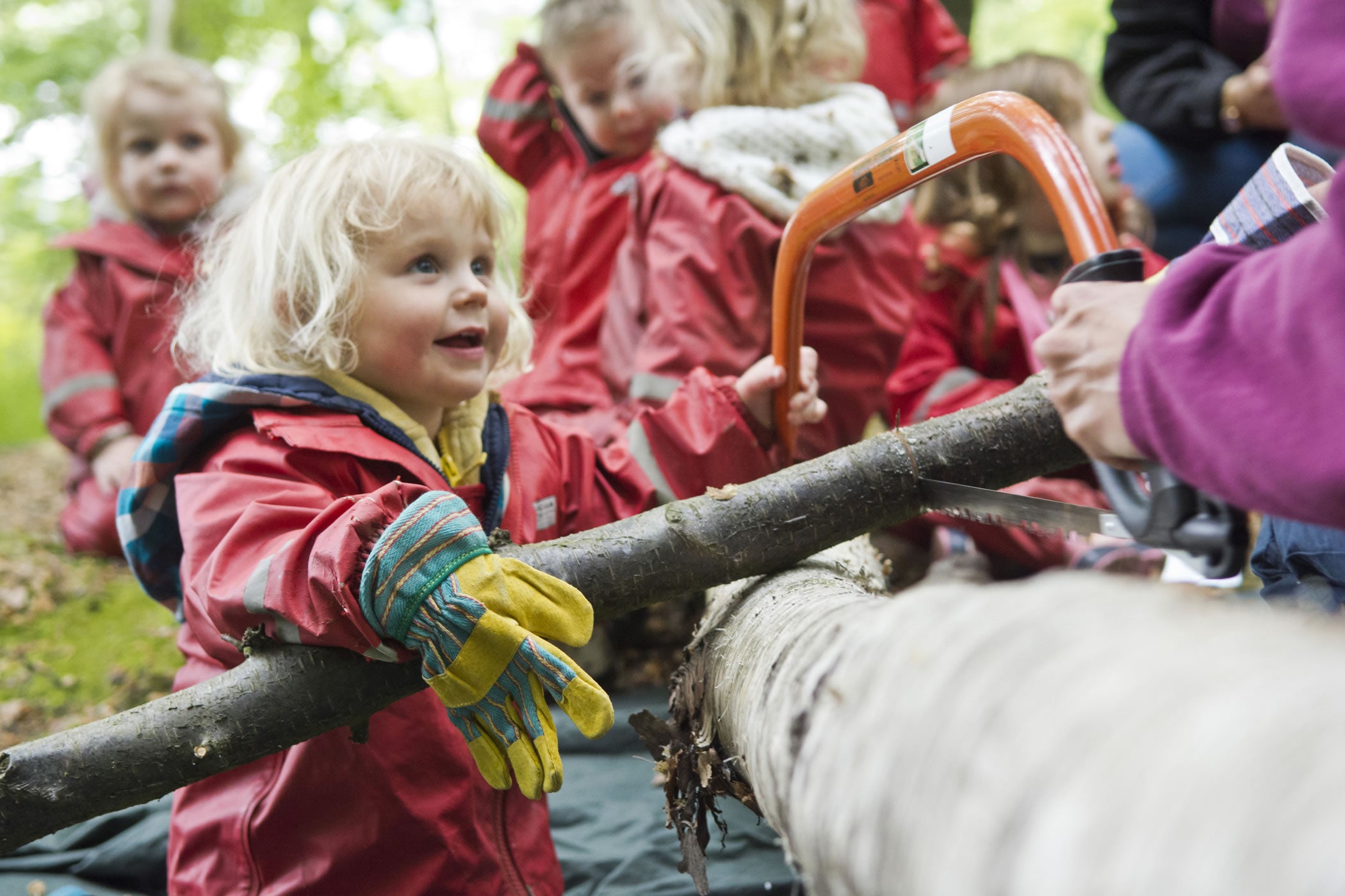 Forest School Tools