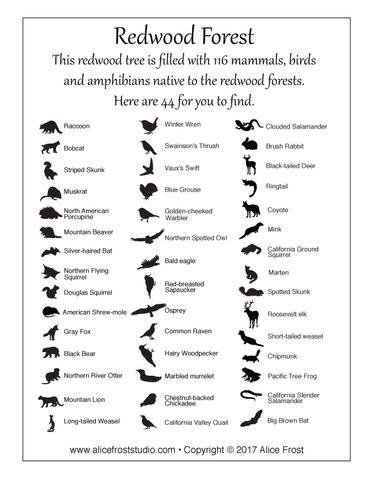 Redwood forest animal list