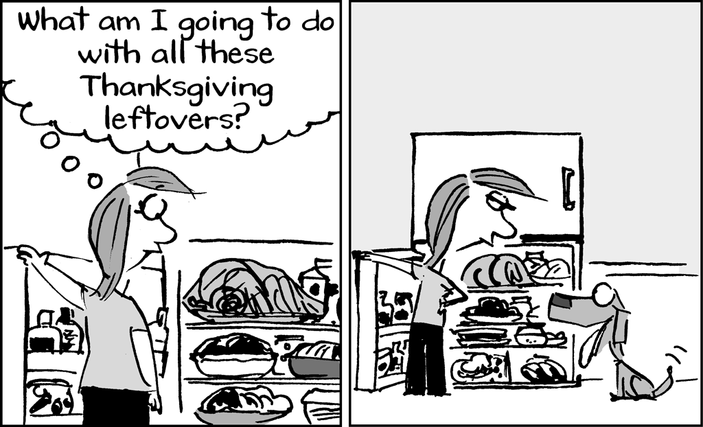 On a Claire Day Thanksgiving Comic Strip