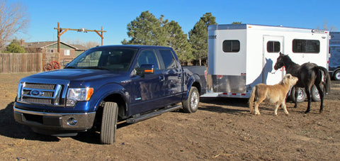 Pickup truck and horse trailer