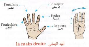 main droite musulman