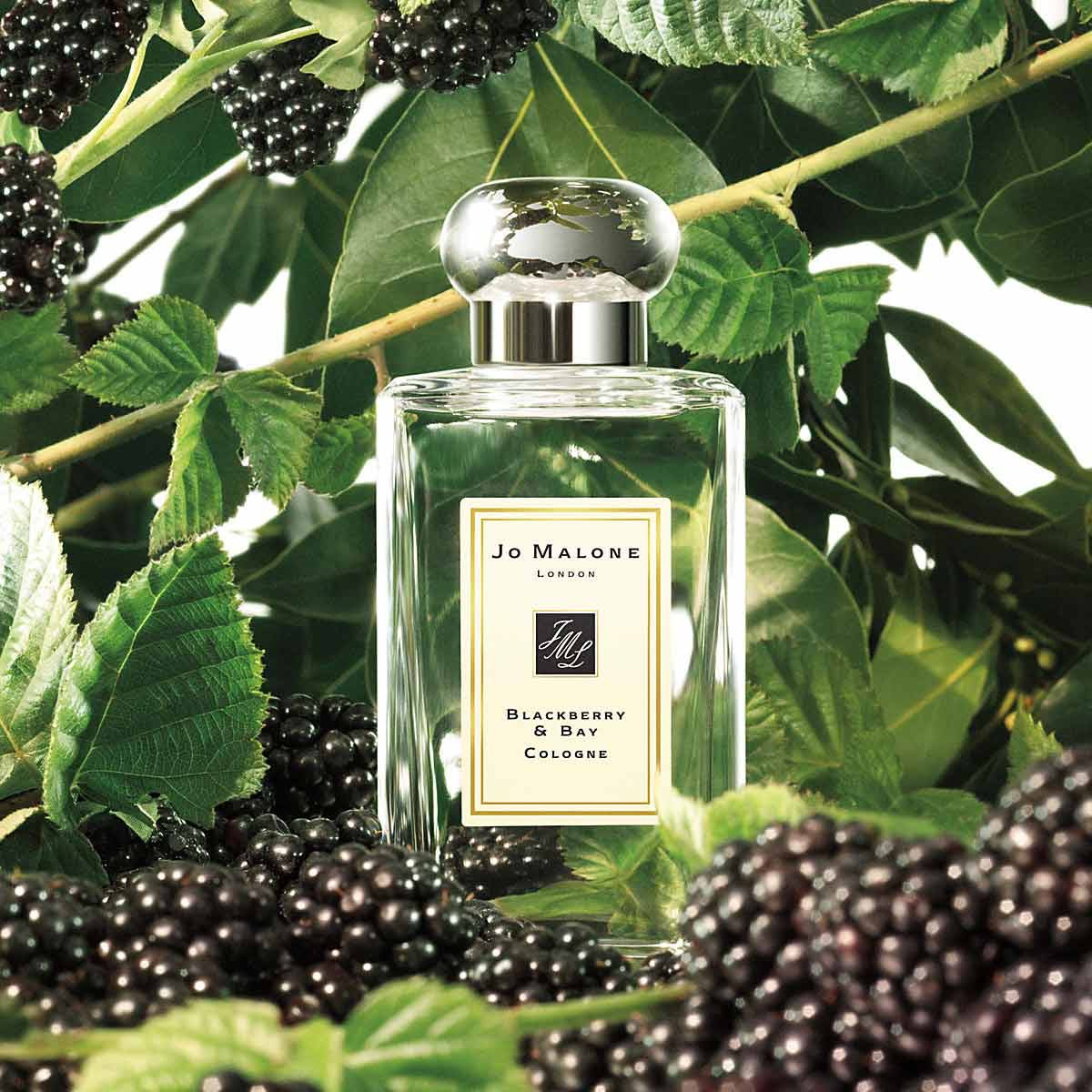 JO MALONE LONDON BLACKBERRY &amp; BAY COLOGNE 黑莓子與月桂葉古龍水9ML – La Fée Beauty