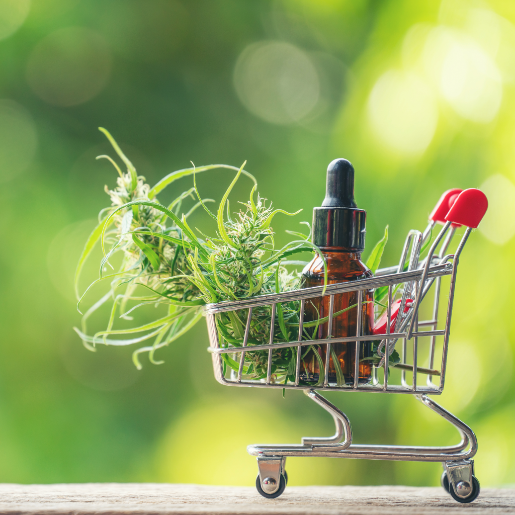 7 Most Important Things To Know Before Buying Cbd Susquehanna Hemp