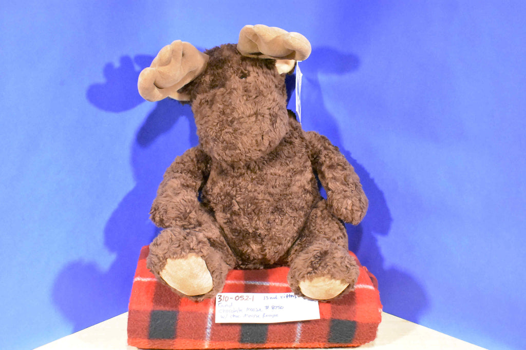 chocolate moose teddy