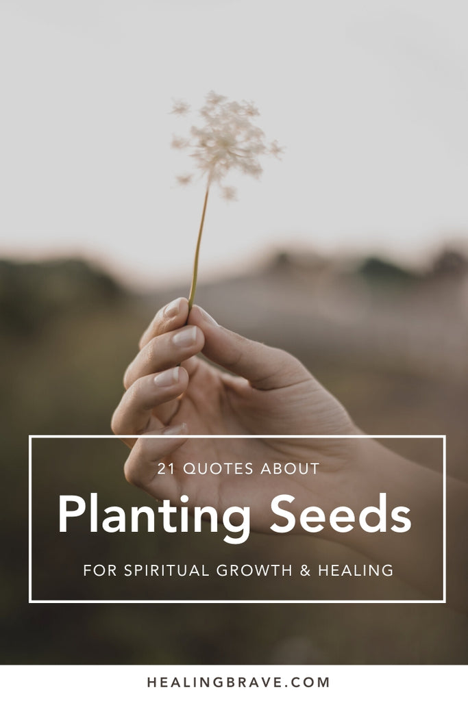 There's something about seeing things grow, about seeing them sprout up from seemingly nowhere at all. Read these quotes about planting seeds, because it's always the season to sow a little good karma. To love better. To be in charge of your own life. To be part of all the beauty you'd like to see grow.