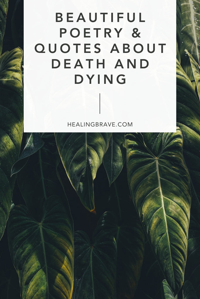 Thinking about death doesn't need to be something we live our lives avoiding. There's a great fear of dying, but if we talk about it, and listen, we'd hear the truth: that "mostly it is loss which teaches us about the worth of things." It's why I find solace in these quotes about death and dying, and hope you will too.