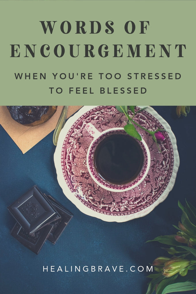 Read these words of encouragement when you need help seeing the opportunity in the struggle or uncovering the hidden meaning in the mess. When life feels like a big ball of chaos, there’s something here for you.