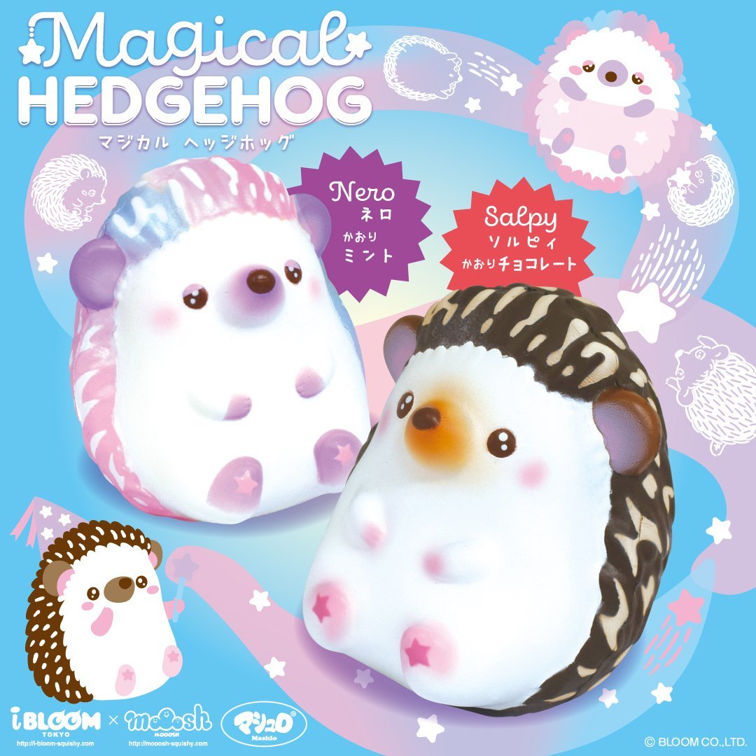 hedgehog squishy