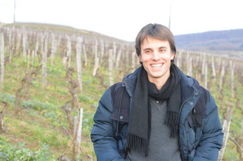 Valentin Morel in the vines